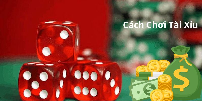 Quản lý và phân chia tiền cược hợp lý khi chơi game