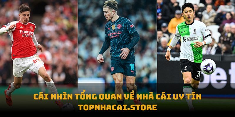 Cái nhìn tổng quan về nhà cái uy tín Topnhacai.store